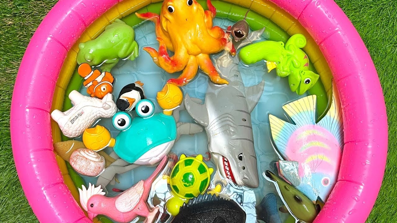 Happy Ocean Pals Animals for Preschoolers | Little Learners Ocean Names & Facts