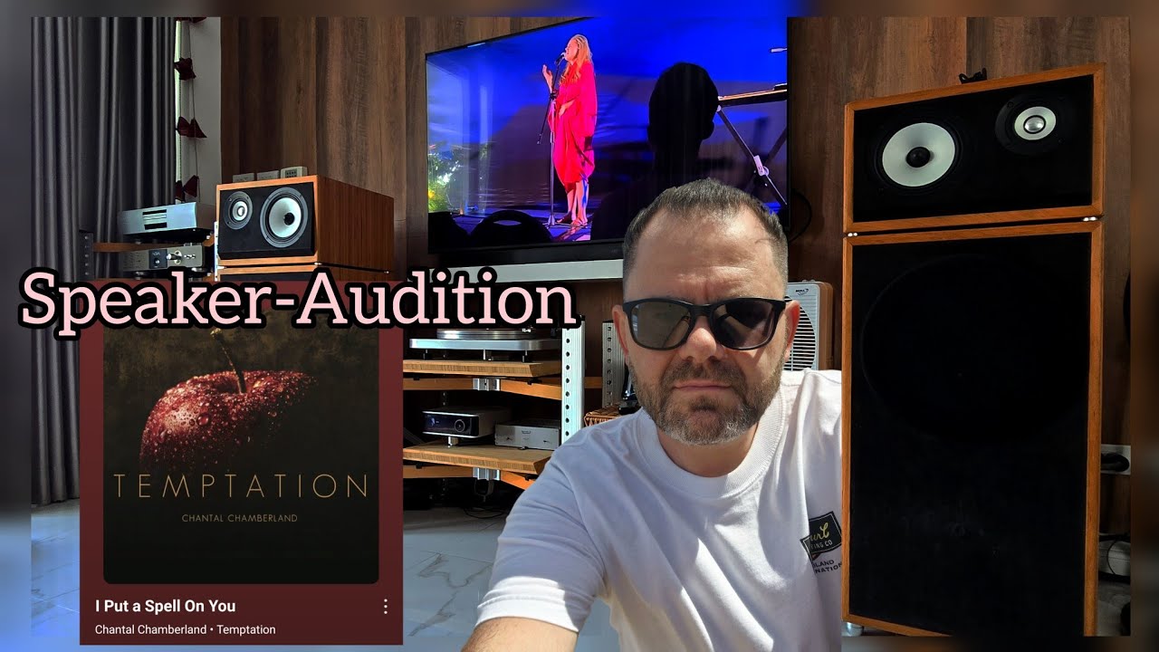 Part 7 #audiophile #highend #loudspeaker #audio #stereo #hifi #diyaudio 