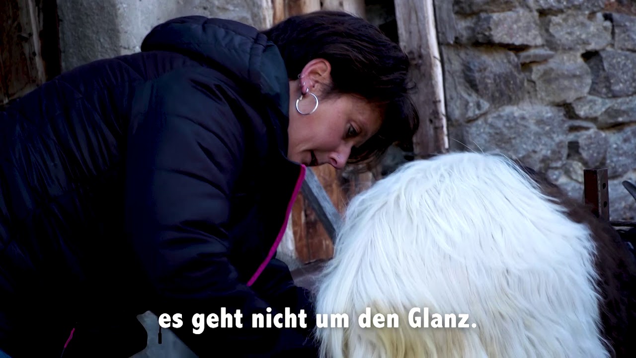 Das Wallis wählt die «Miss Geiss»
