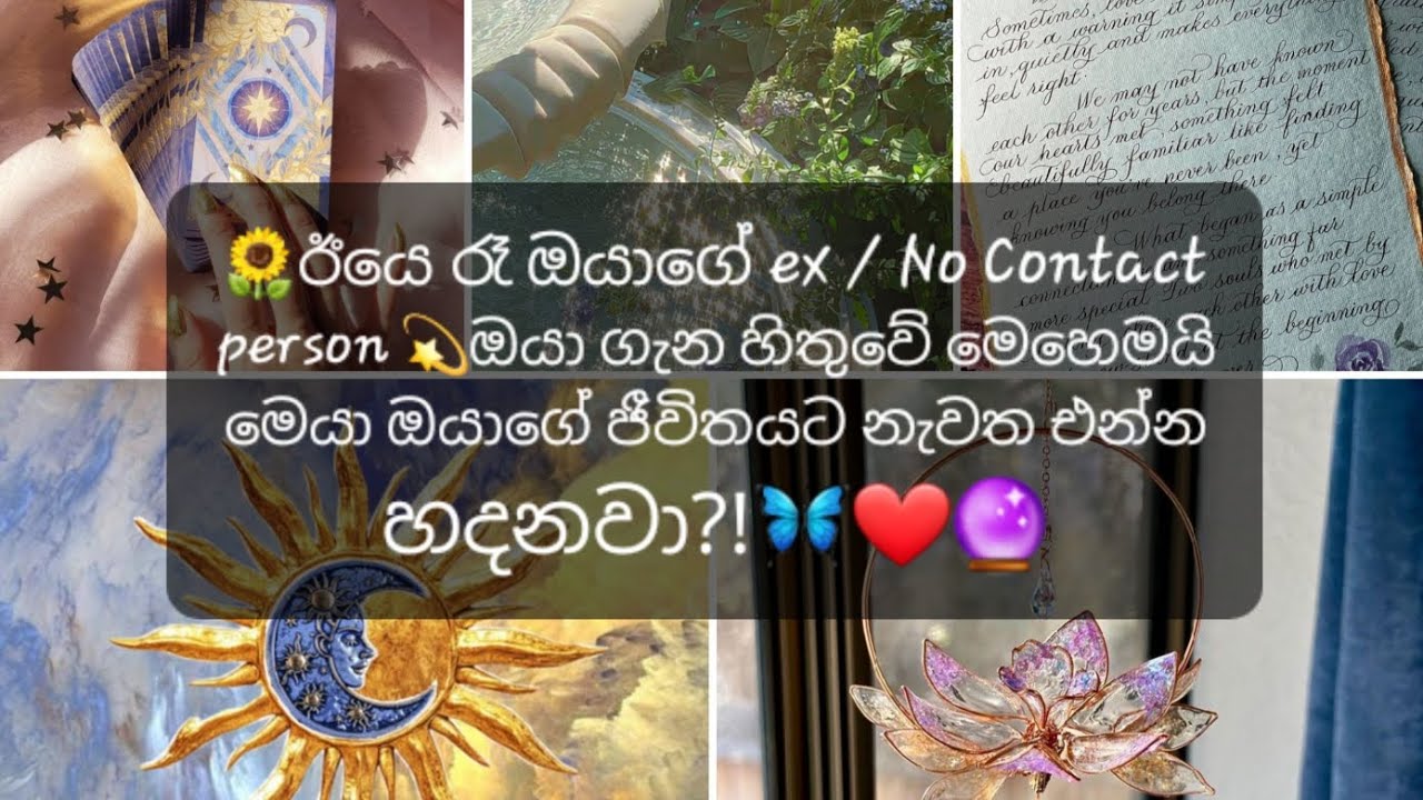 🌻ඊයෙ රෑ ඔයාගේ ex / No Contact person💫 ඔයා ගැන හිතුවේ මෙහෙමයි මෙයා ඔයාගේ ජීවිතයට නැවත එන්න හදනවා?!🦋❤🔮
