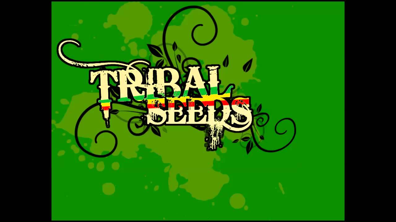 Tribal Seeds - Roman Leader