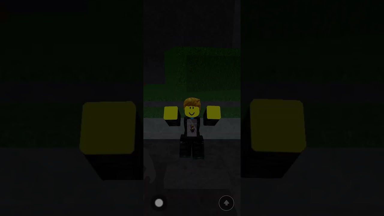 Jogando tsb 