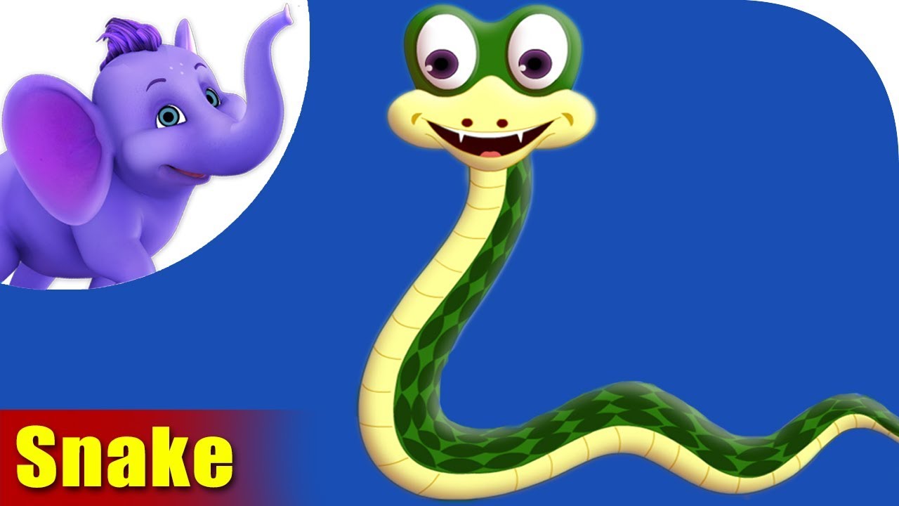 Snake Rhymes, Snake Animal Rhymes Videos for Children