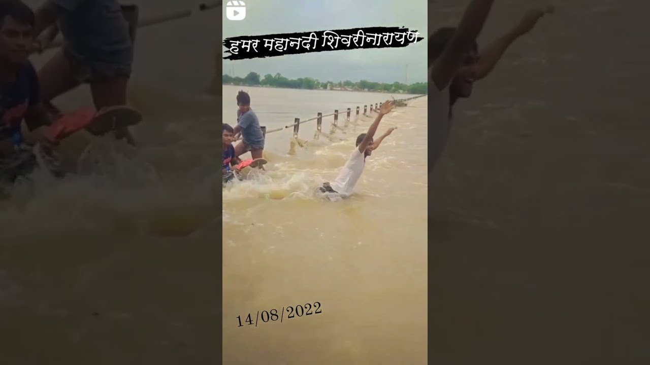 शिवरीनारायण में बाड़।Shivarinarayan महानदी2022