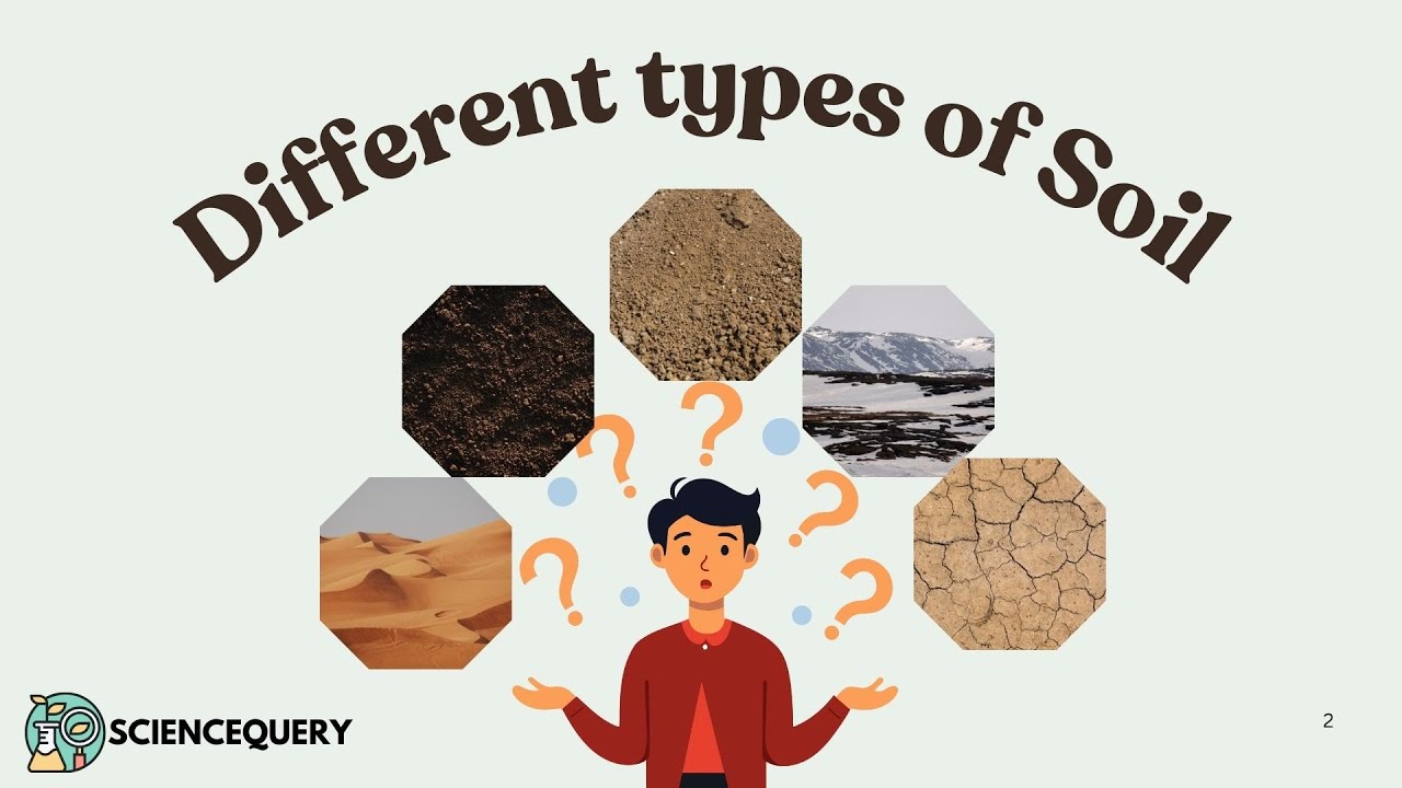 Different types of soil and their properties