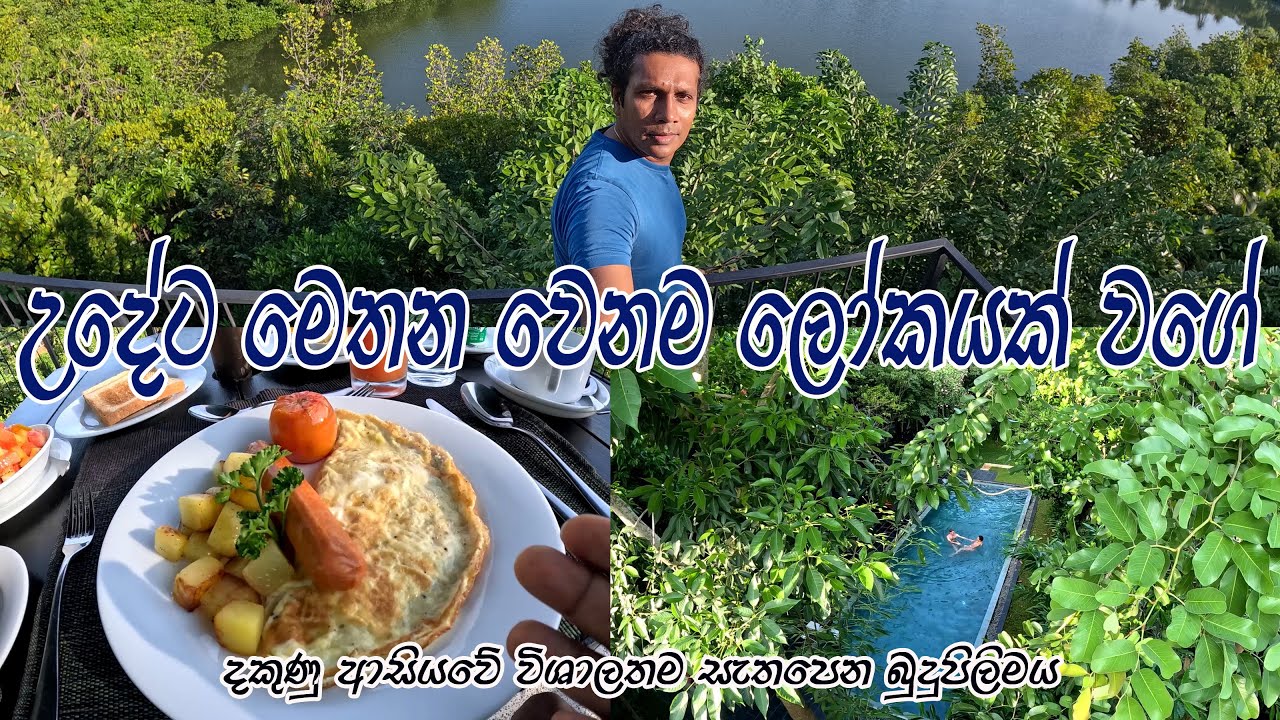 ගග දිහා බලන් උදේට කෑවා 🧡 විශාලතම බුදුපිළිමය බලන්න ගියා 🧡 කැලයක් මැද නෑවා වගේ මෙතන