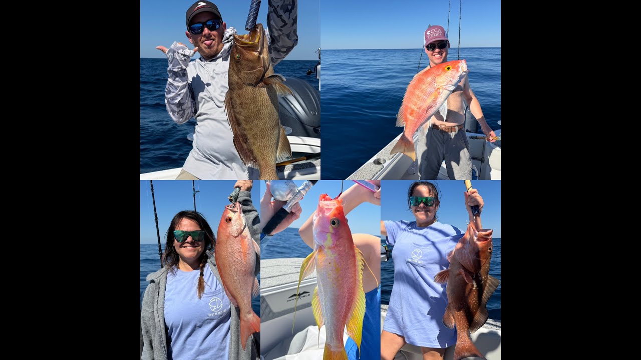 Yellow Eye Snapper / Giant Vermillion Snapper / Red & Scamp Grouper / Charter fishing Destin Florida