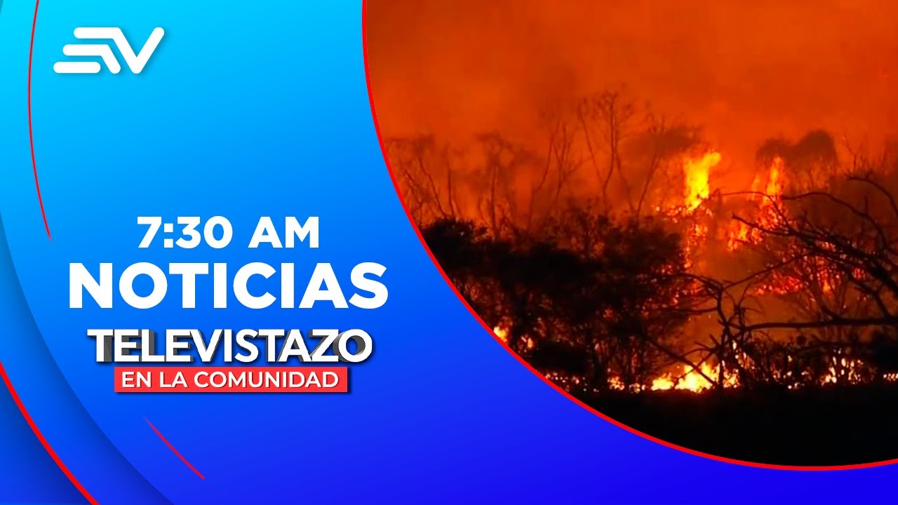 Incendio forestal en cerro colorado arrasó con 40 hectáreas | Televistazo | Ecuavisa