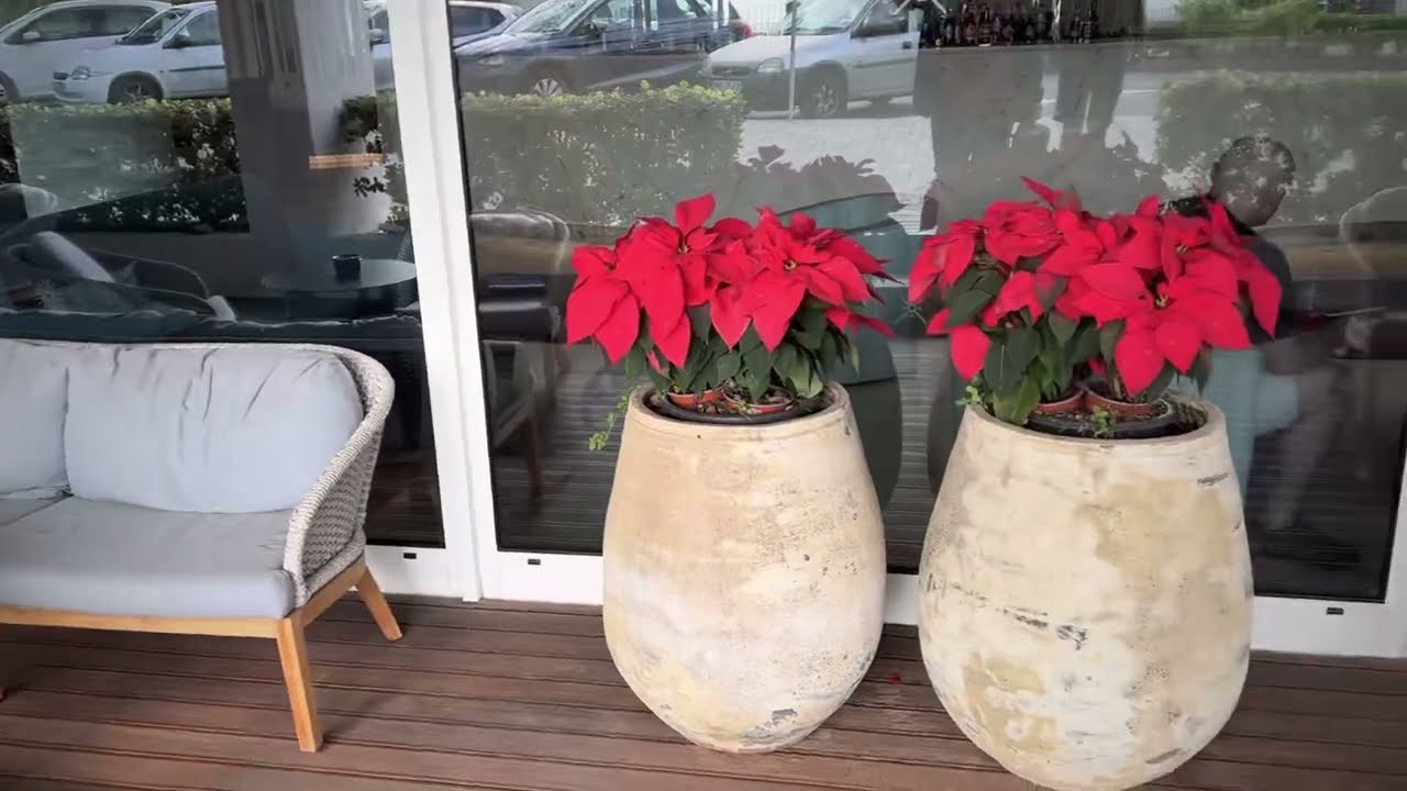 Hotel Alto Lido Funchal Madeira Portugal