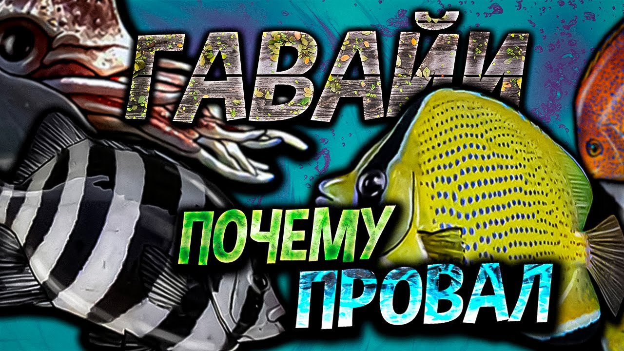 Почему Обновление ГАВАЙИ не повторило успеха Борнео в Русской Рыбалке 3?