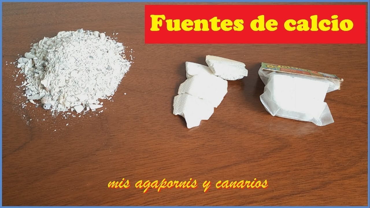 Fuentes de calcio que utilizo para mis agapornis, canarios, periquitos, codornices y diamantes