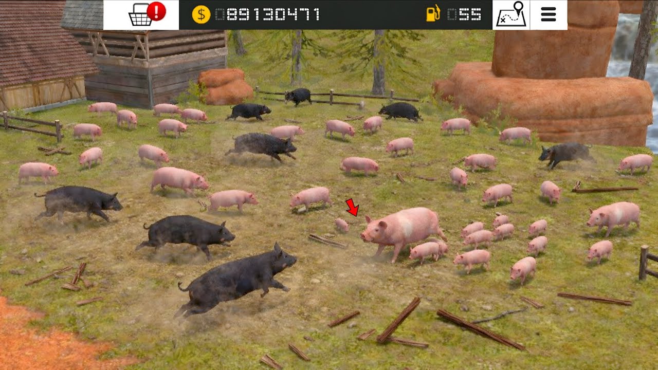 Fs 18 Me Black Ball And White Ball Pig Fight Has Happened ! Fs 18 Multiplayer | #fs18