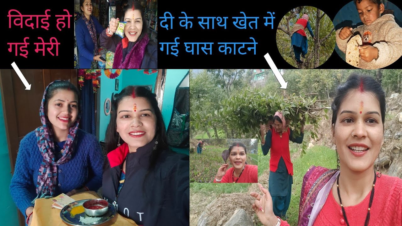दी के ससुराल जाते ही खेत में चले गई घास काटने,,आज तो मुझे इनाम मिल गया@Bhagyavlog569@YouTube@Vlog 