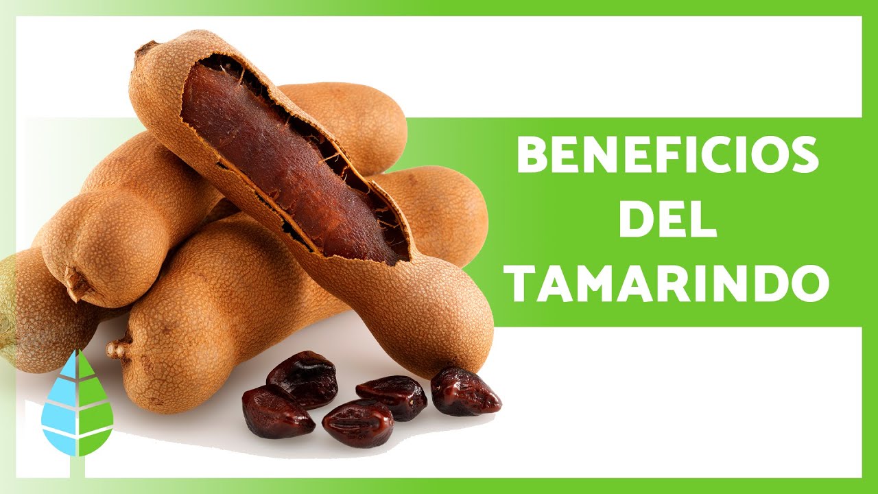 PROPIEDADES y BENEFICIOS del TAMARINDO 🥜✅ (Para qué SIRVE, Cómo Tomarlo y Contraindicaciones)