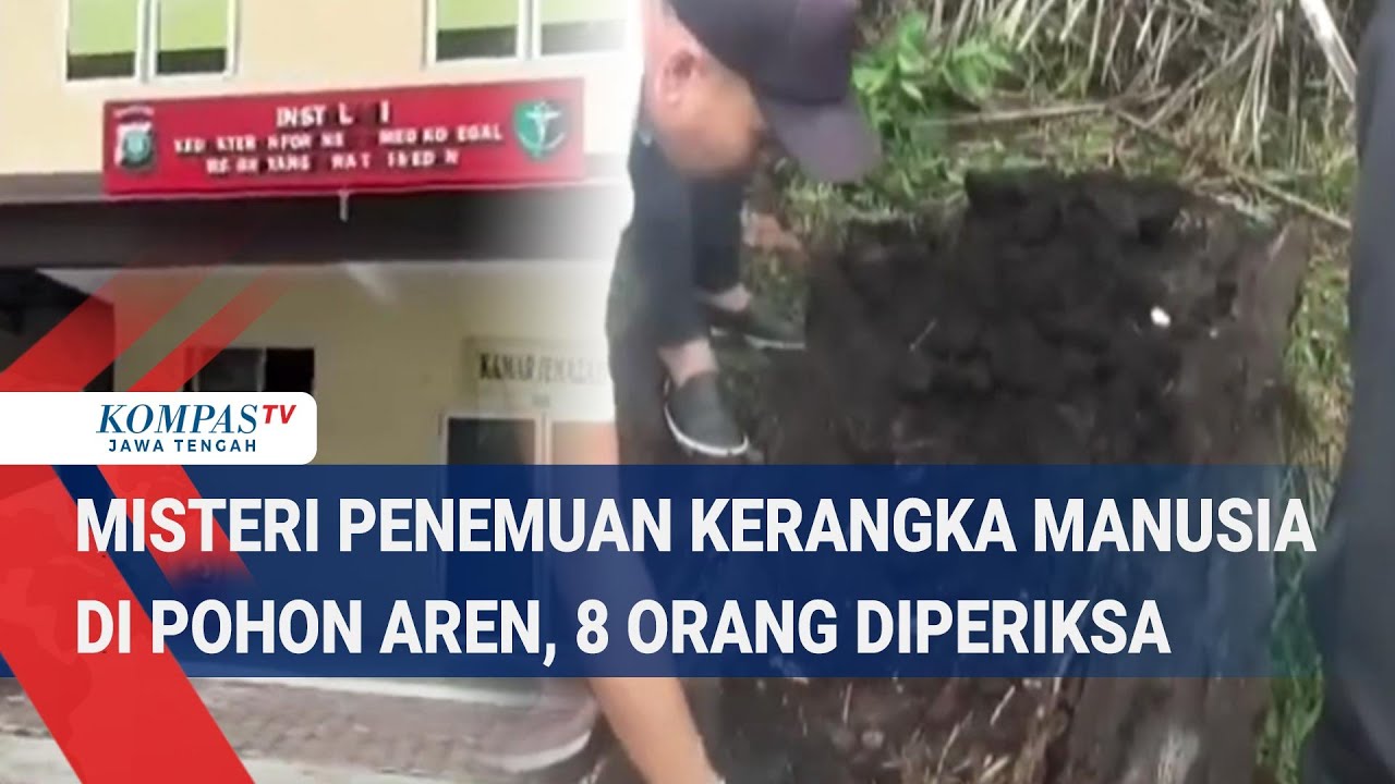 Misteri Penemuan Kerangka Manusia di Pohon Aren, 8 Orang Diperiksa