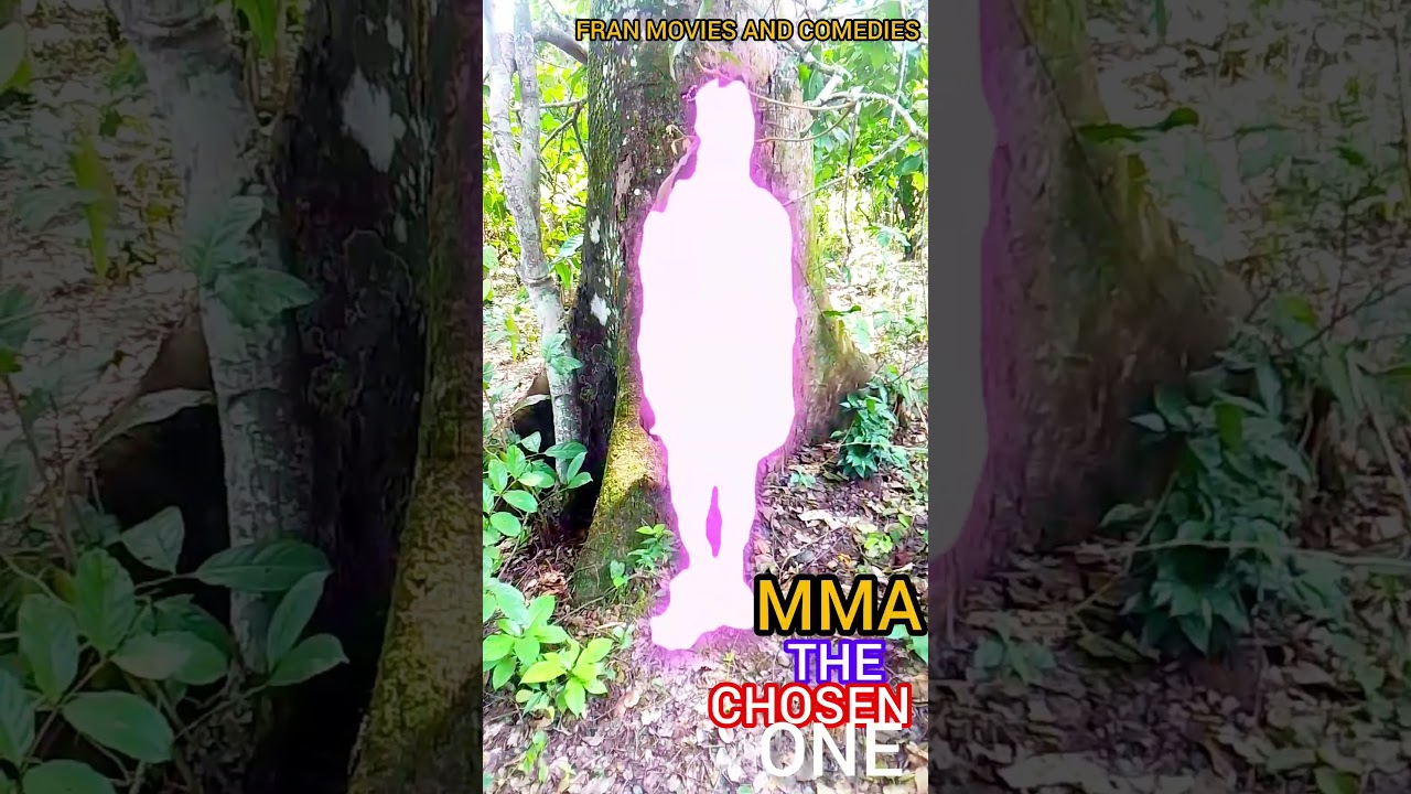MMA The Chosen one