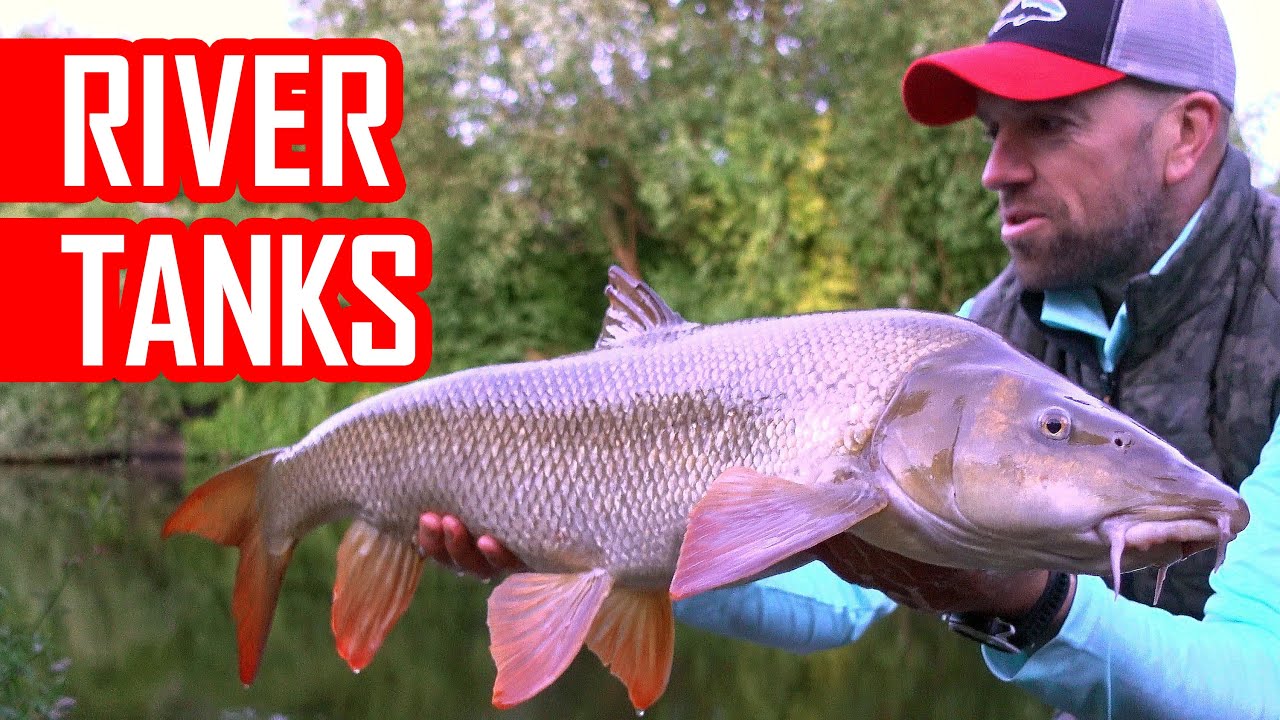 How to catch specimen Barbel on the float? Waggler fishing.