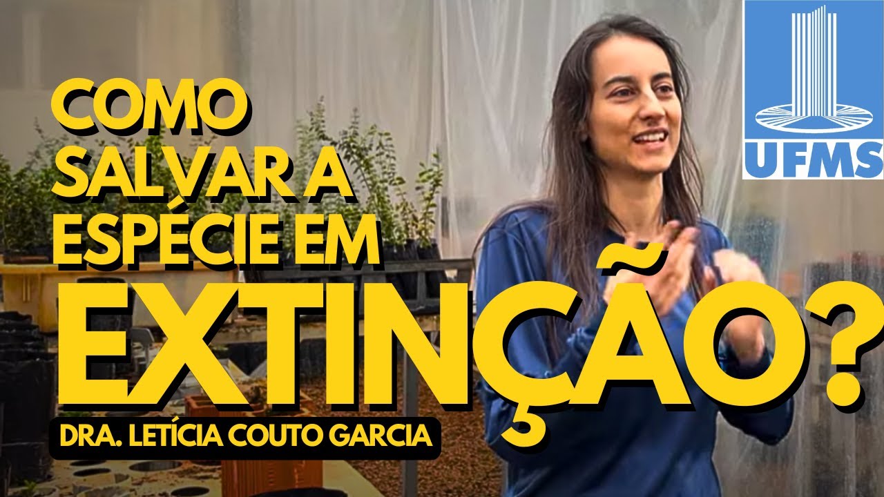 O Milagre do PAU- SANTO ! &Aacute;rvore Brasileira em Extrema Extin&ccedil;&atilde;o pode ser Recuperada pelo LEI - UFMS