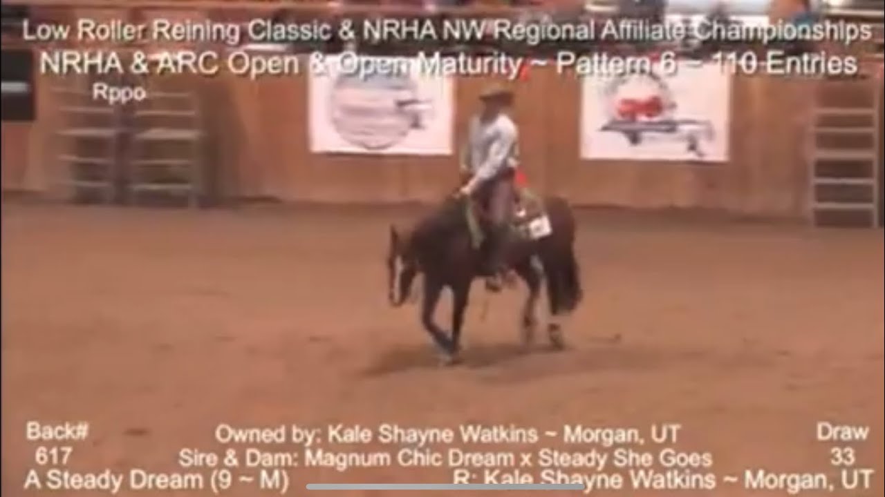 Reining pattern 6