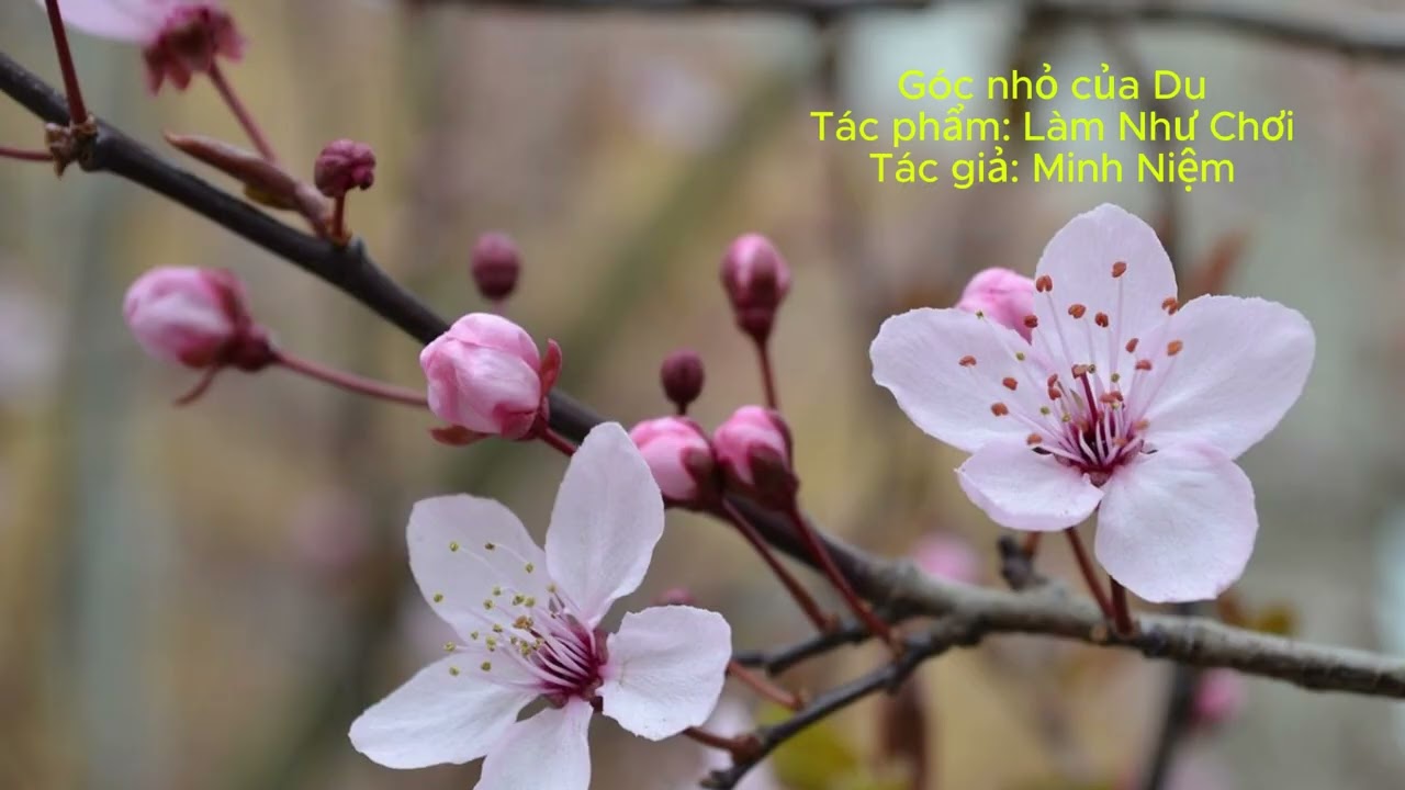 Làm Như Chơi - Phần 29 (Tham mà không tham)