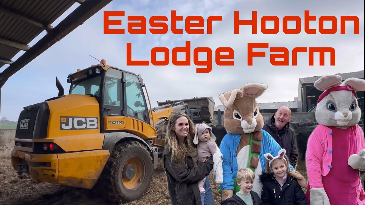 We Visit Hooton Lodge Farm! Cattle Feeding on Easter Sunday! Farming Documentary UK!