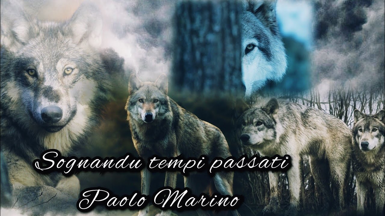 Paolo Marino - Sognandu tempi passati ( videoclip ufficiale 2022 )