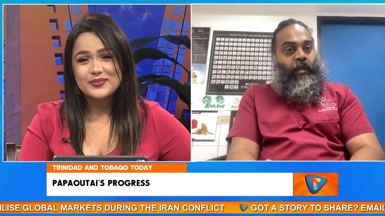 Прогресс Папаутаи: информация о выздоровлении травмированного оцелота.