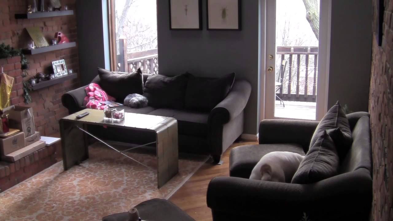 bulldog rips apart couch