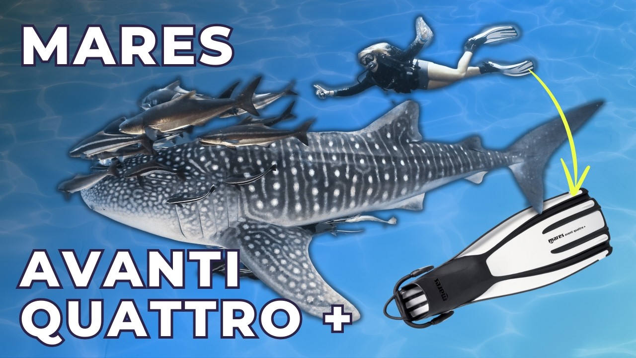 Дайвмастеры в восторге от этих ласт! Mares Avanti Quattro + [Обзор ласт 2025]