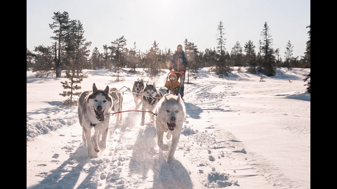 NORWAY Skiing Holiday - LILLEHAMMER, HAFJELL, BUDOR