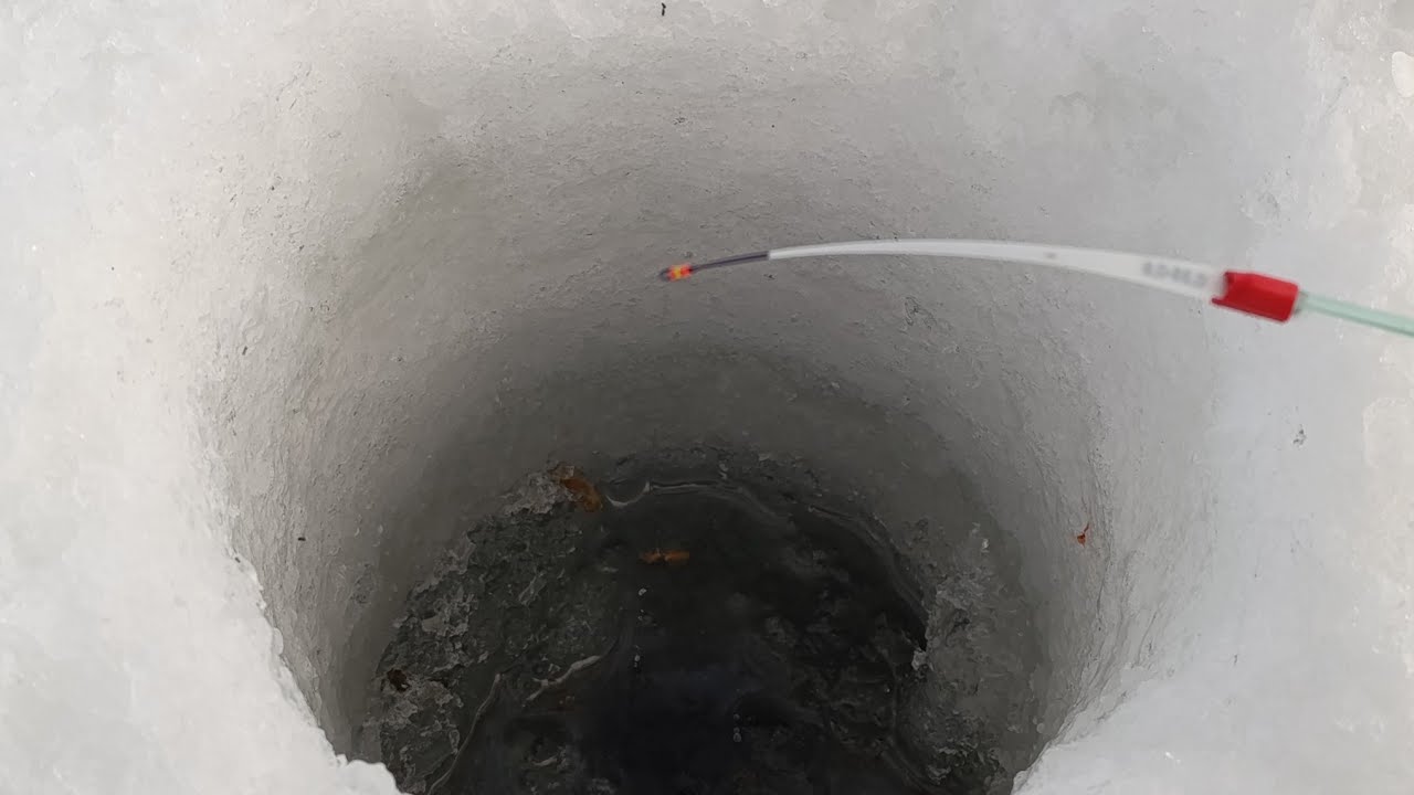 ОПУСТИЛ ЧЁРТИКА В ЛУНКУ СРАЗУ КЛЮЁТ. ОБСКОЕ ВОДОХРАНИЛИЩЕ . РЫБАЛКА 2026