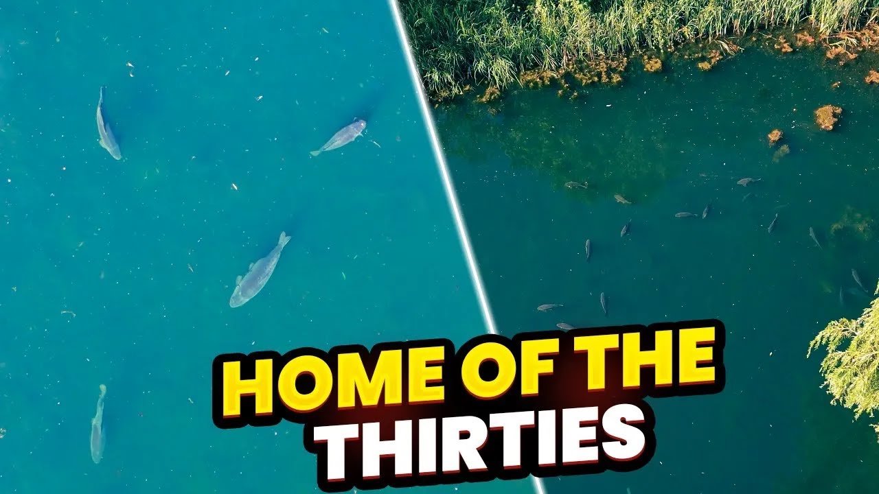 Carp Fishing The Home Of The Thirties | Orchid Lake