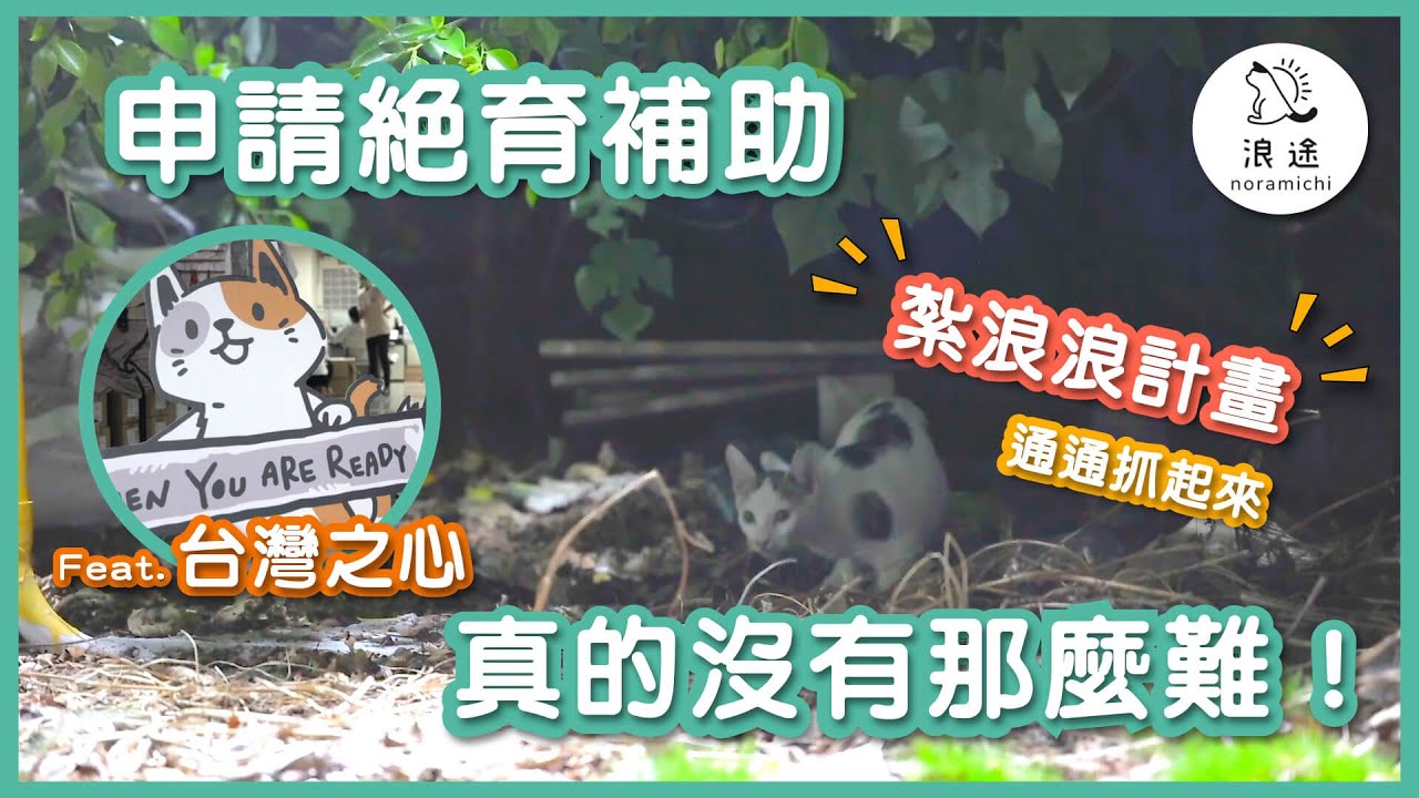 EP22 紮浪浪計畫：浪貓、浪犬結紮，絕育補助申請大公開！邊看示範影片、邊學TNR抓紮流程，真的沒有想像的那麼難 feat. 台灣之心愛護動物協會 浪途 noramichi