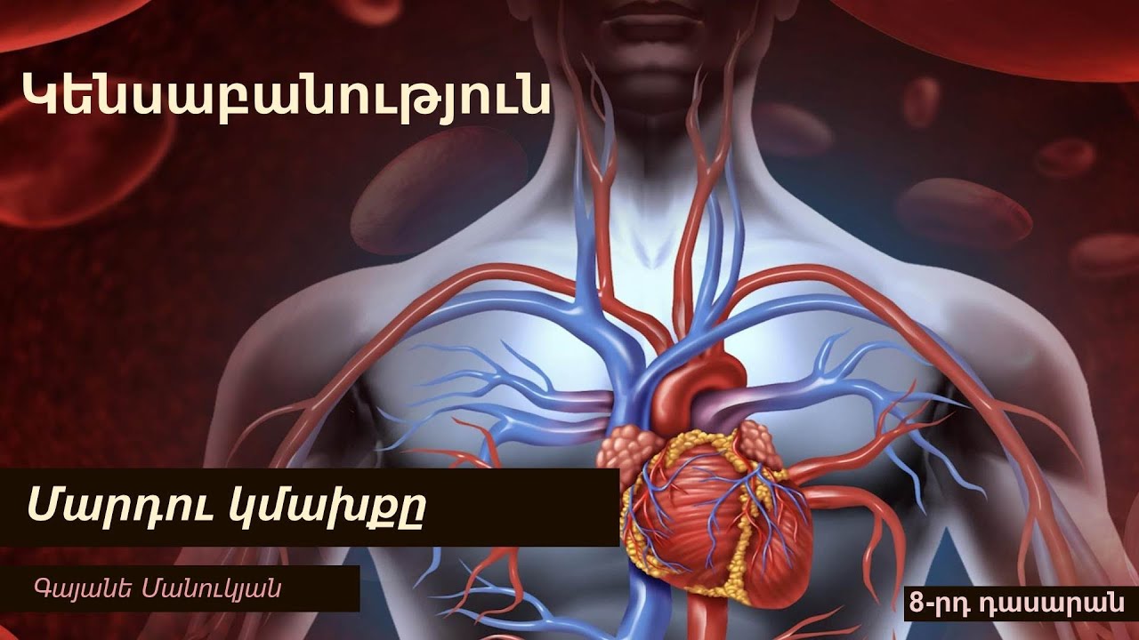 Կենսաբանություն, Կմախք. 8-րդ դասարան