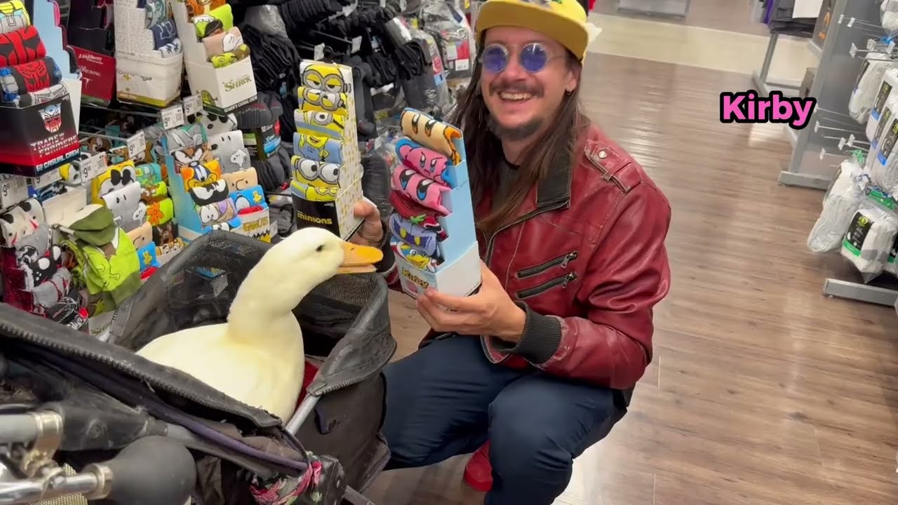 I took my duck to Shop for Roadtrip Stuff