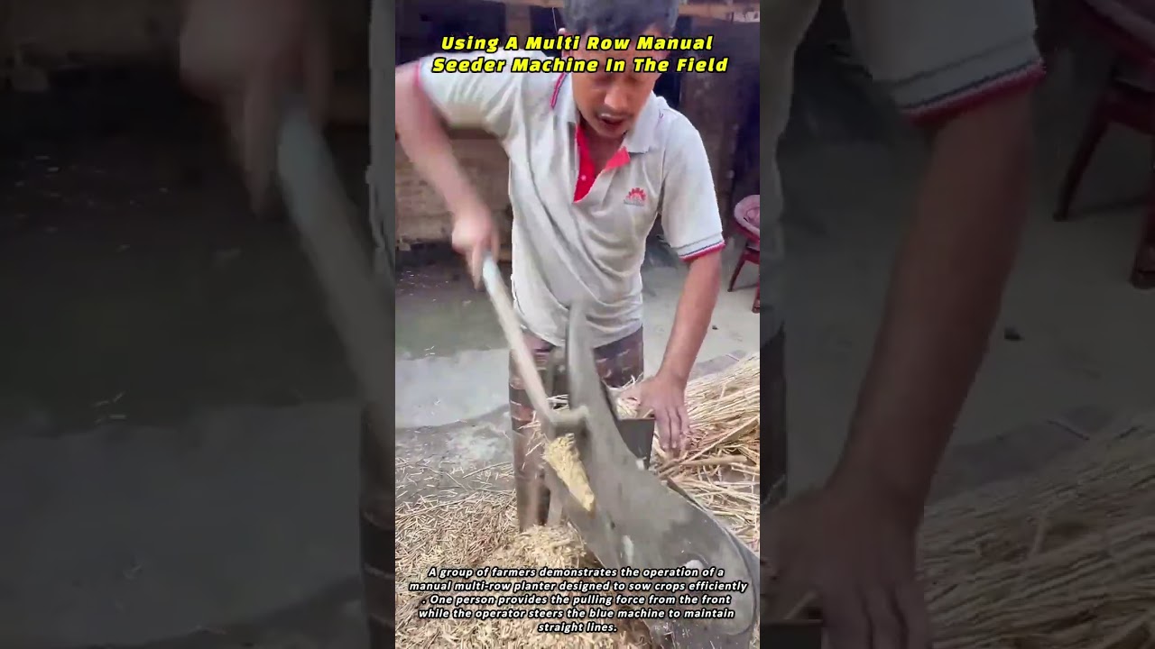 Manually Chopping Dry Straw With A Lever Blade Cutter