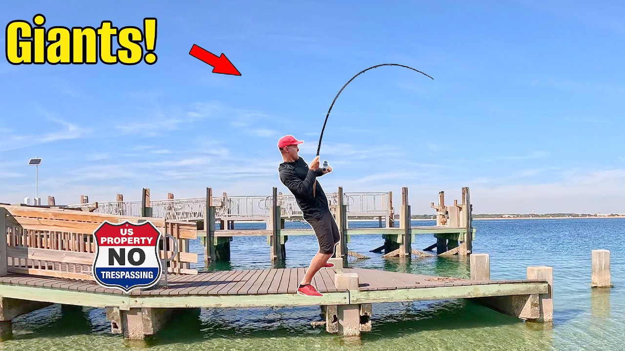 Giant Trophy Fish are Living Under This US Government Pier!