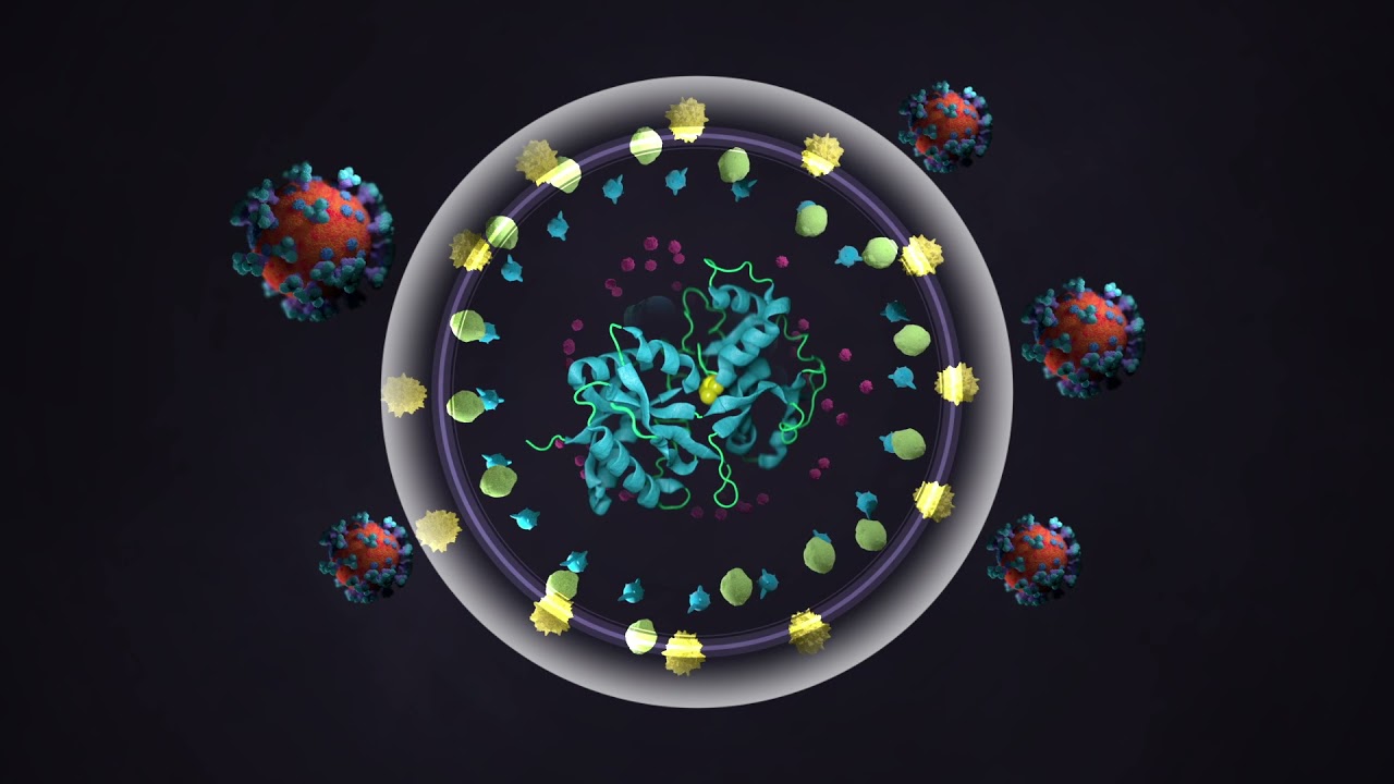 Science animation - Lactoferrin
