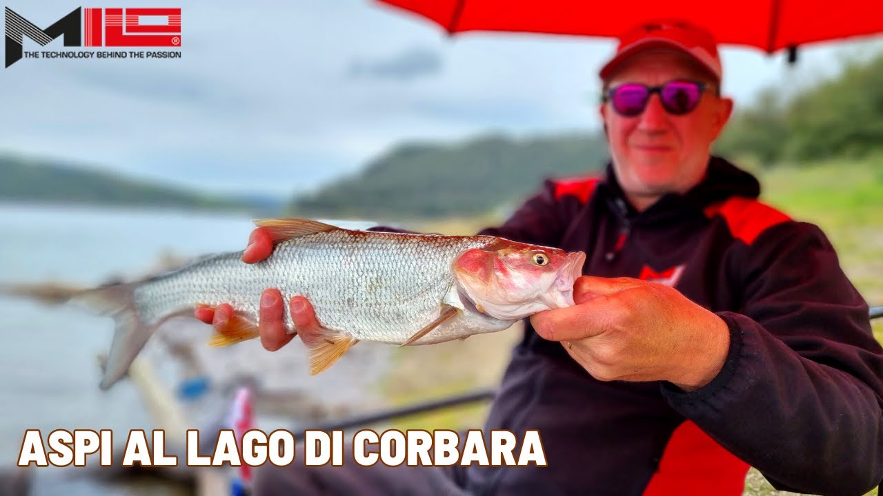 COME PESCARE AL LAGO DI CORBARA - Itinerari By MILO