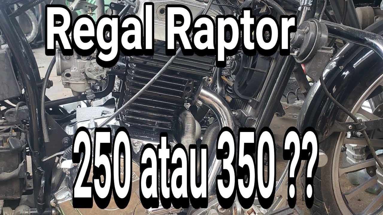 perbedaan mesin 250cc dan 350cc diregal raptor