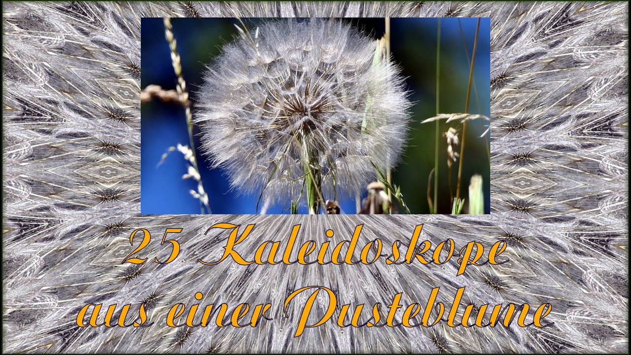25 Kalaidoskope aus einer Pusteblume * 25 kalaidoscopes from a dandelion