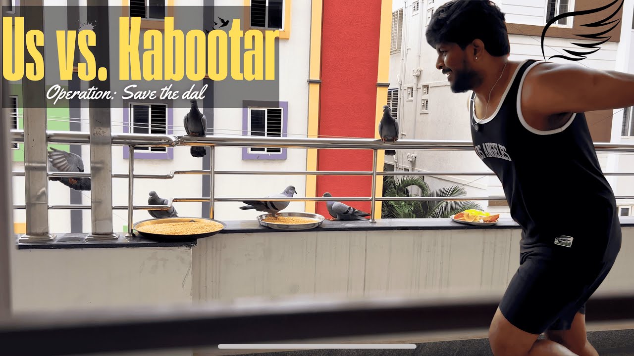 Us vs Kabootar🐦| Couple Vlog | The Life of SaVai