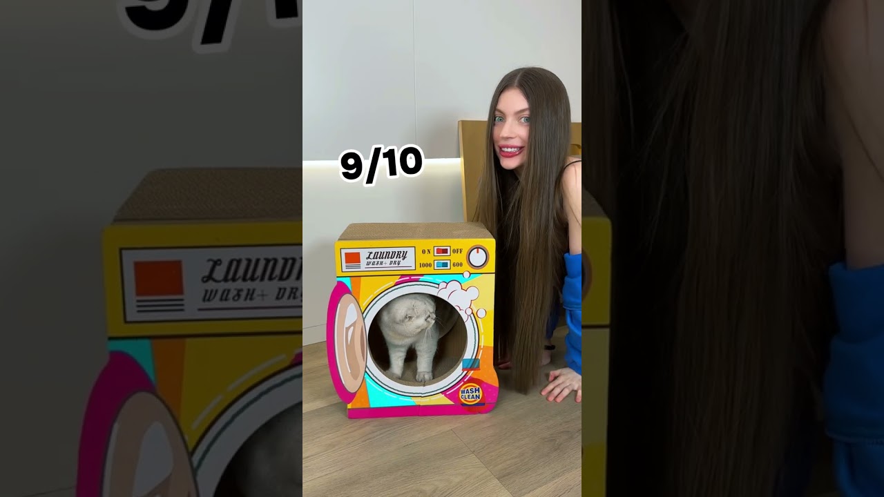 5 лучших кошачьих домиков 😼 Ч.6 #кот #кошки