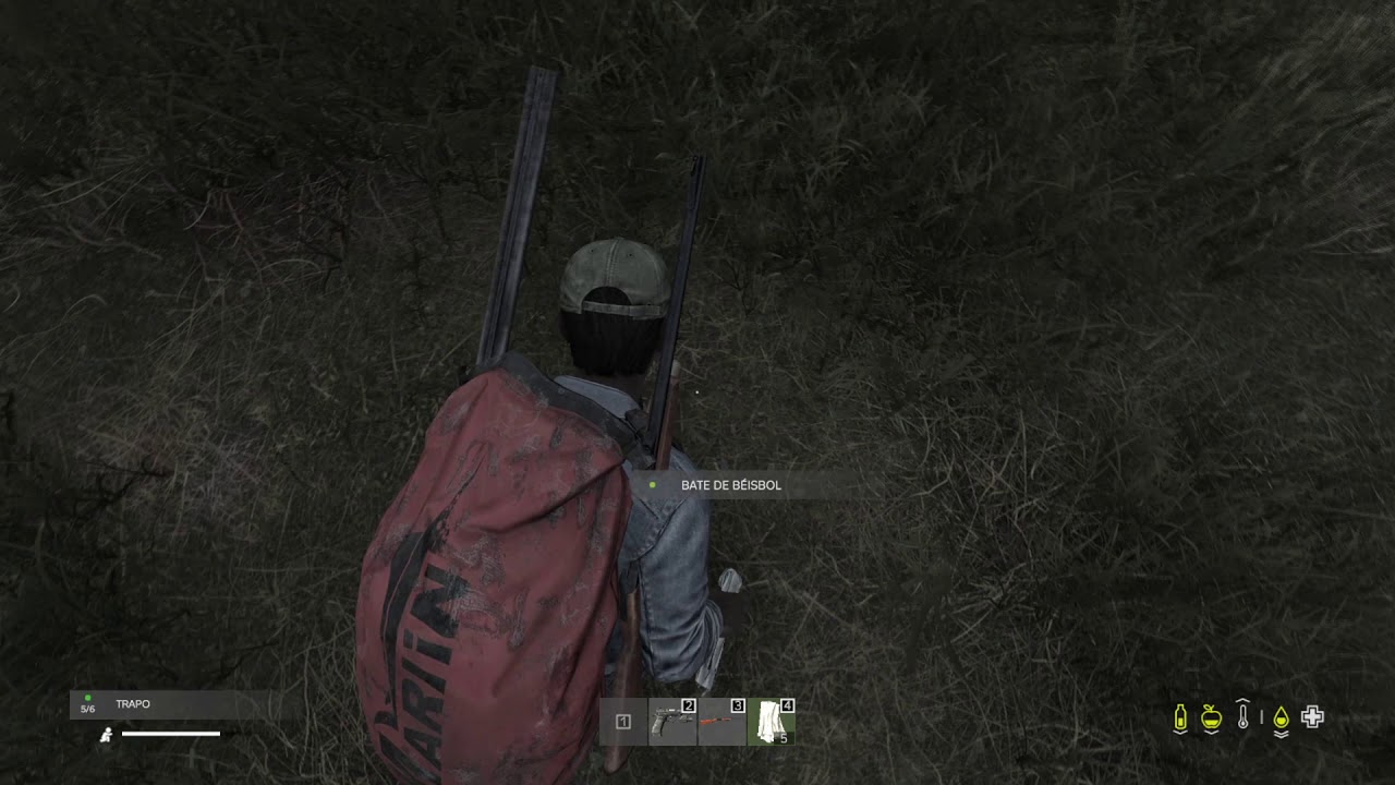 Primeros momentos de Dayz. Dayz 1.10
