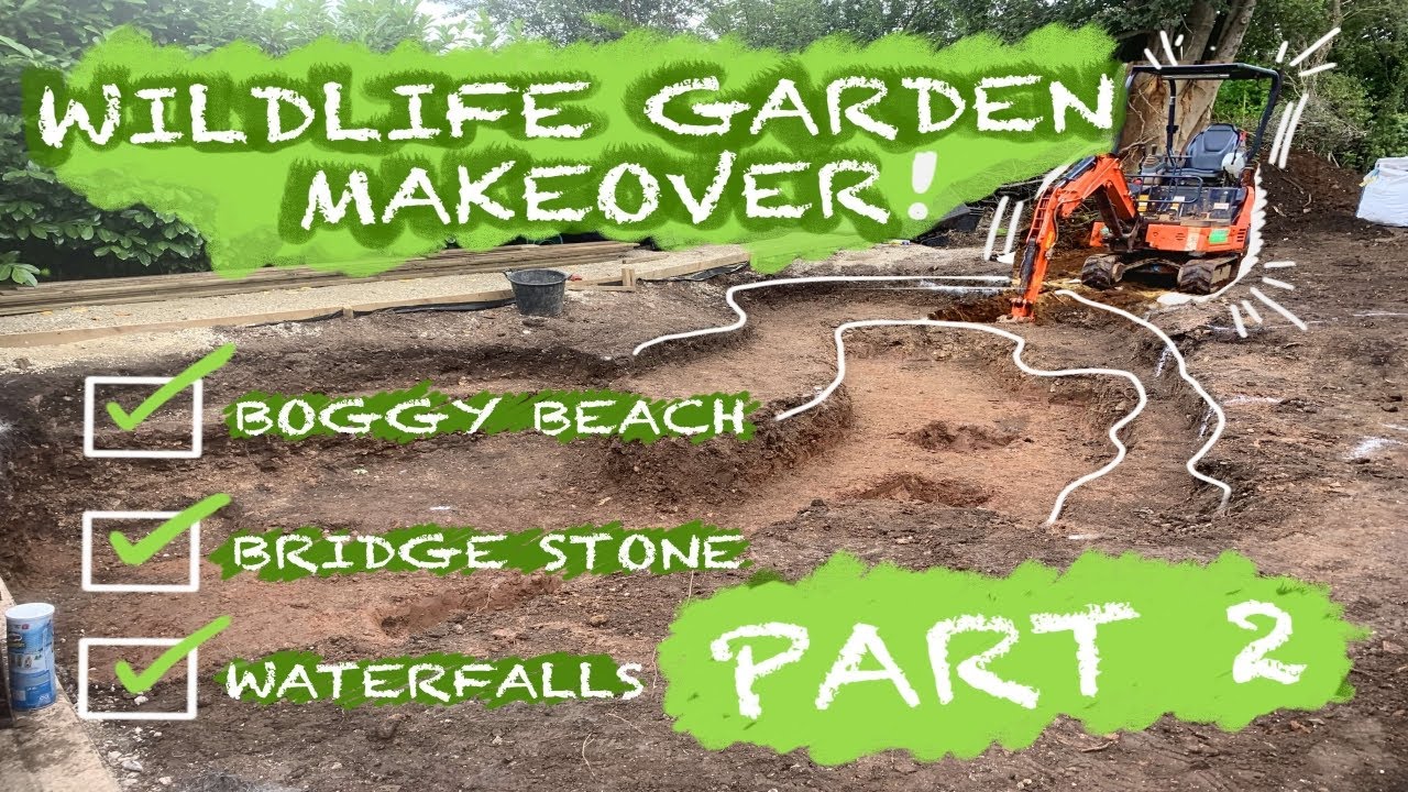 Barren garden gets an upgrade into WILDLIFE friendly WATER GARDEN | Pt.2