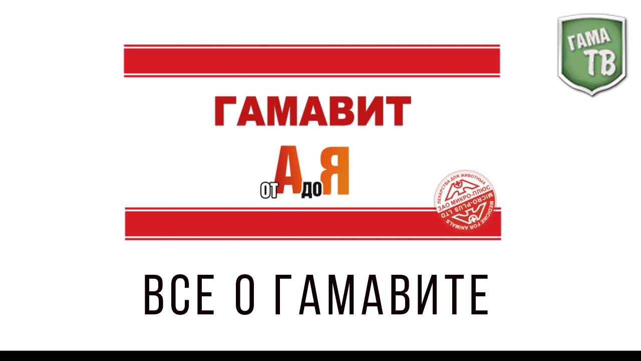 ВПЕРВЫЕ! Разработчик рассказывает о Гамавите ВСЕ! История препарата Гамавит.