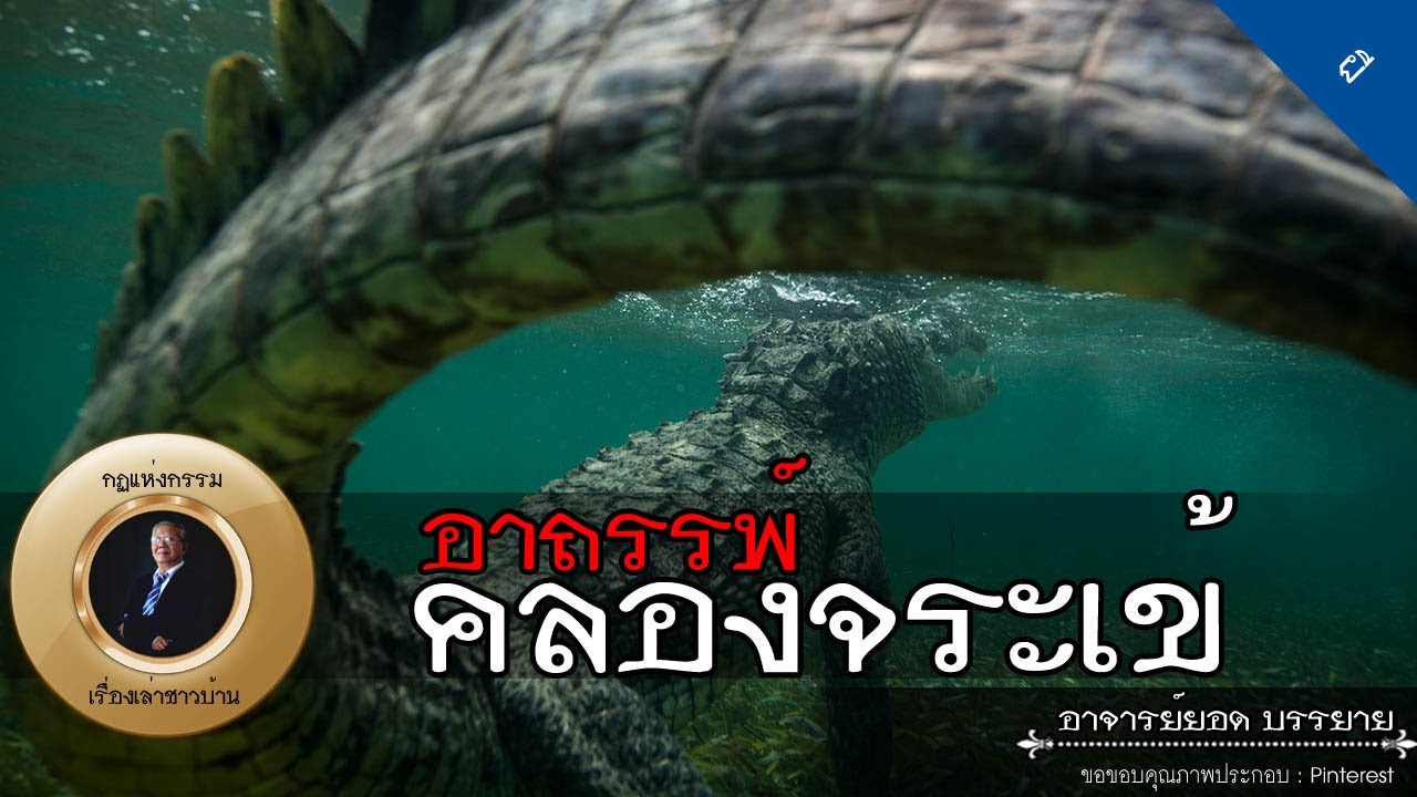 อาจารย์ยอด : อาถรรพ์คลองจระเข้, ฆ่าค้างคาว, จอมปลวดลุงดำ [ผี] new