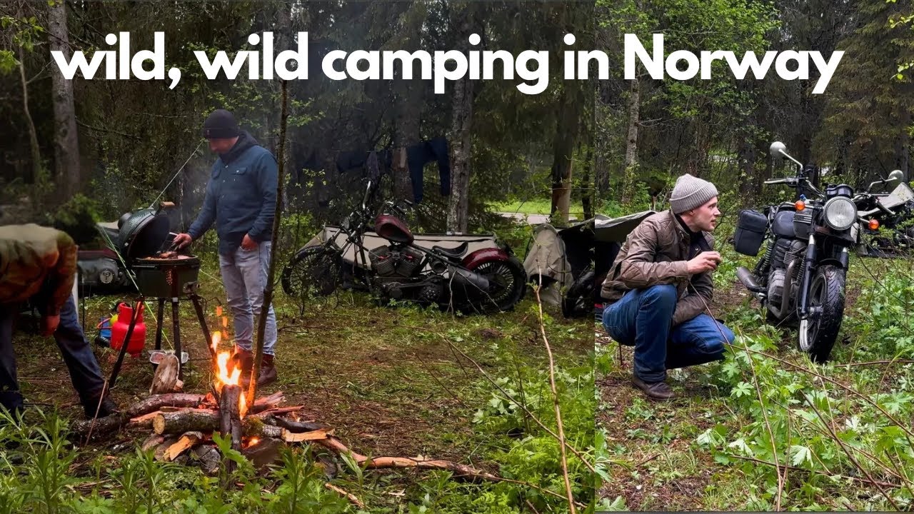 Wild, Wild Camping in Northern Norway | The Arctic Circle Road Trip (Part Three)