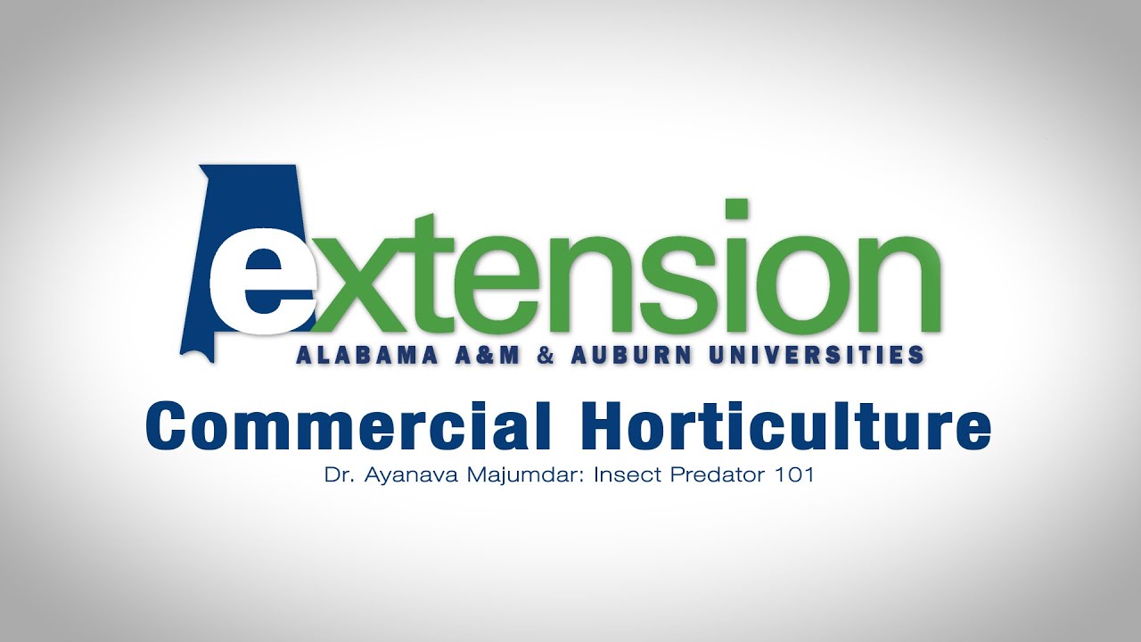 Dr. Ayanava Majumdar: Insect Predator 101