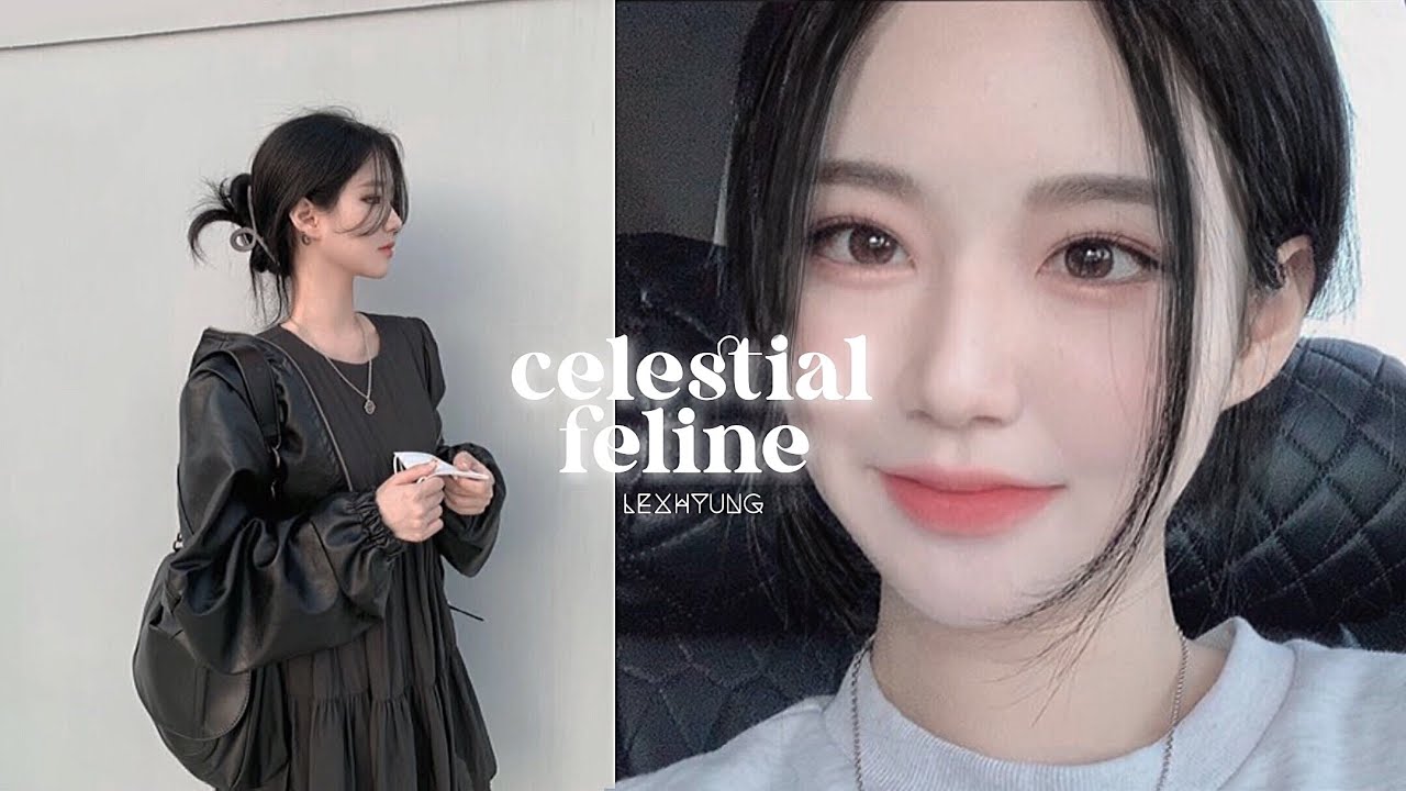 ⚠︎︎ Y/N; “𝐜𝐞𝐥𝐞𝐬𝐭𝐢𝐚𝐥 𝐟𝐞𝐥𝐢𝐧𝐞
